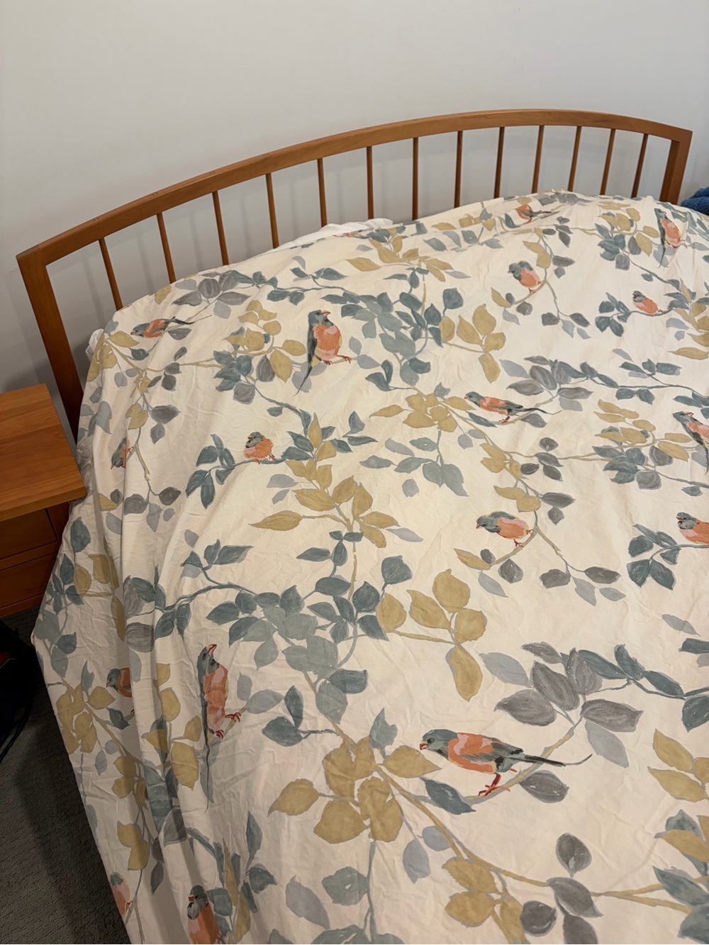 Pottery Barn Organic Floral Bird Print Queen Duvet Cover and Two Pillow Shams